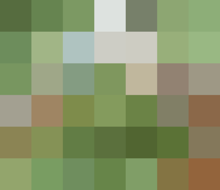 (placeholder)