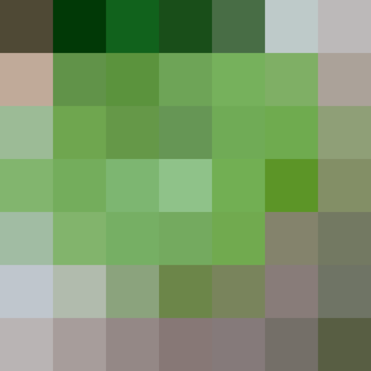 (placeholder)