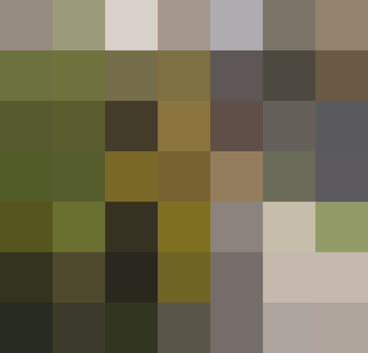 (placeholder)