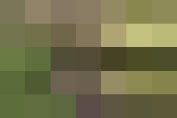 (placeholder)
