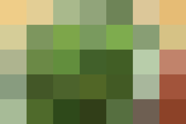 (placeholder)
