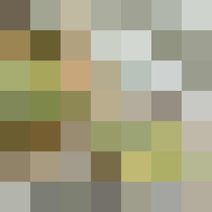 (placeholder)