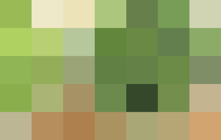 (placeholder)