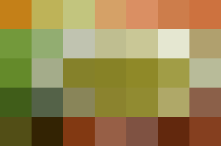 (placeholder)