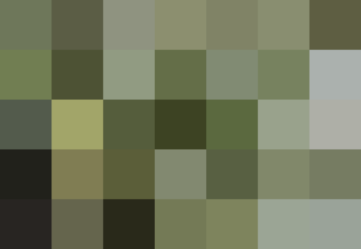 (placeholder)