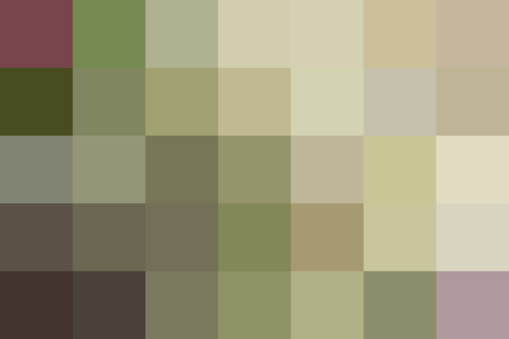 (placeholder)