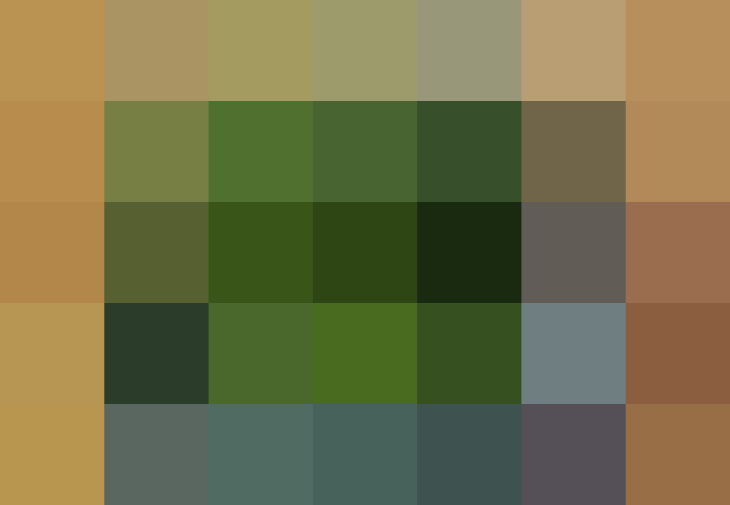 (placeholder)