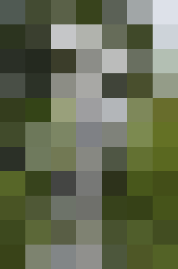 (placeholder)