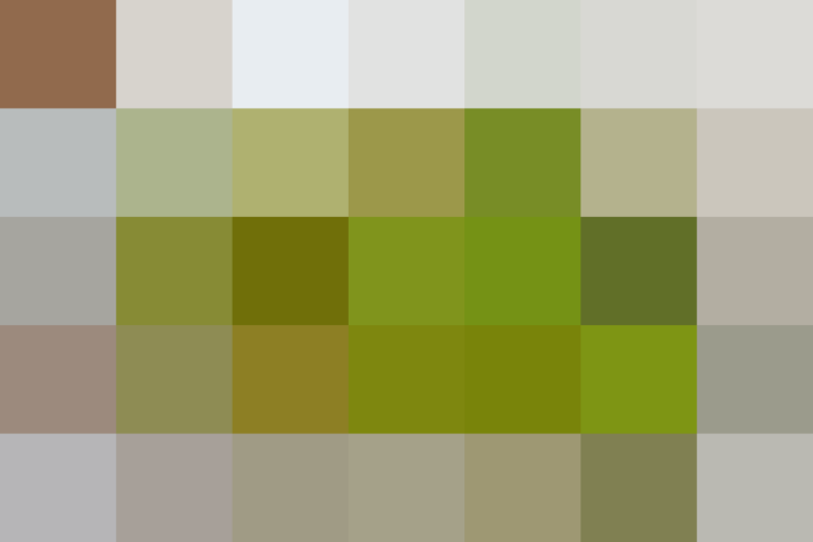 (placeholder)