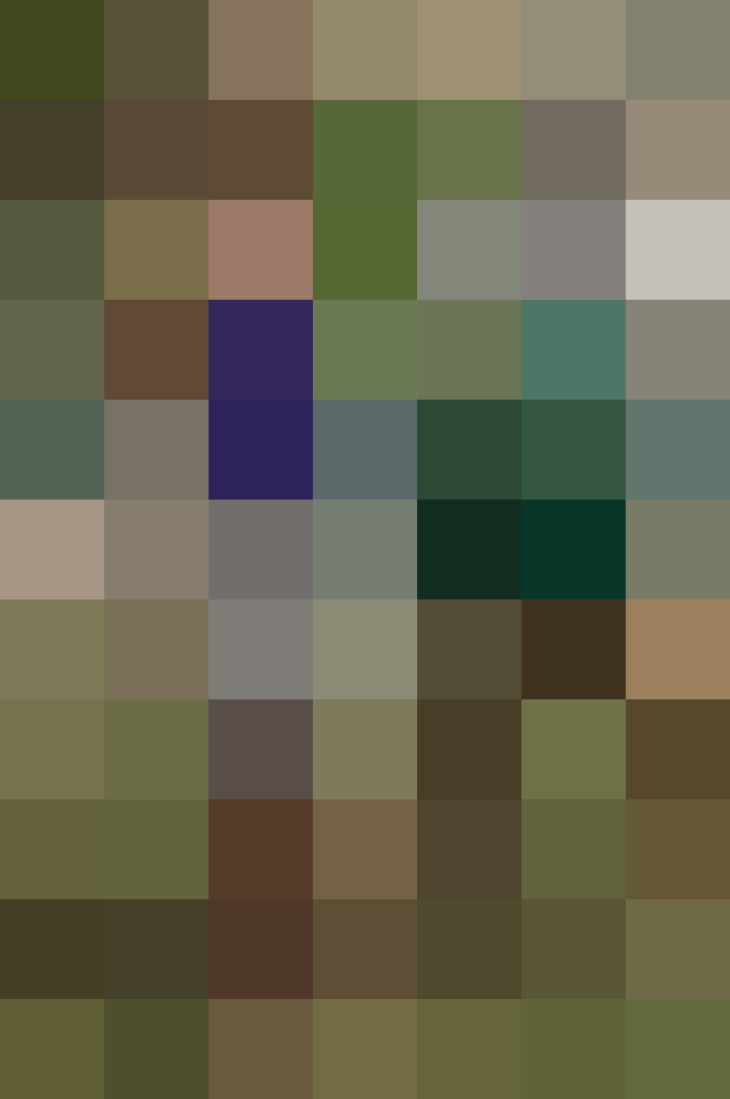 (placeholder)