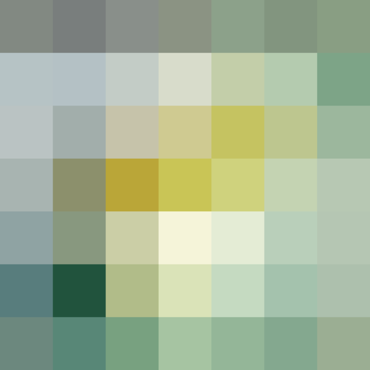 (placeholder)