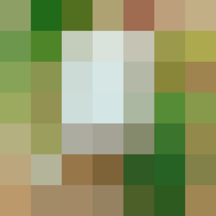 (placeholder)