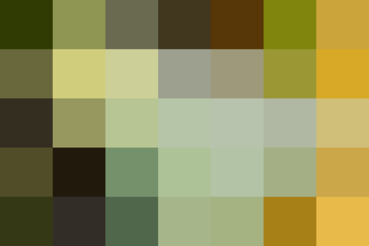 (placeholder)
