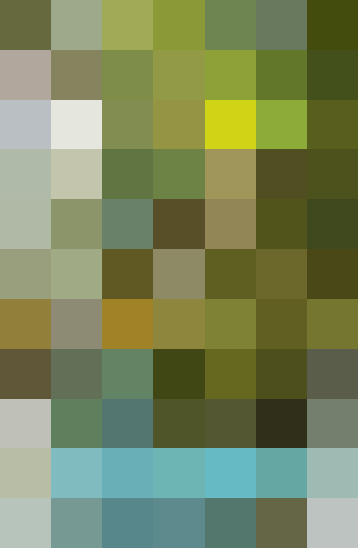 (placeholder)