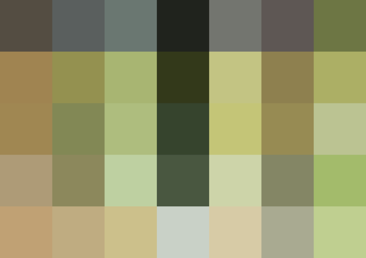 (placeholder)