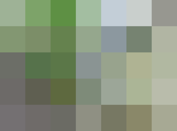 (placeholder)