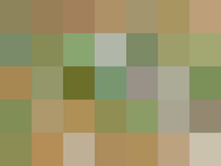 (placeholder)