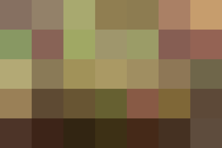(placeholder)