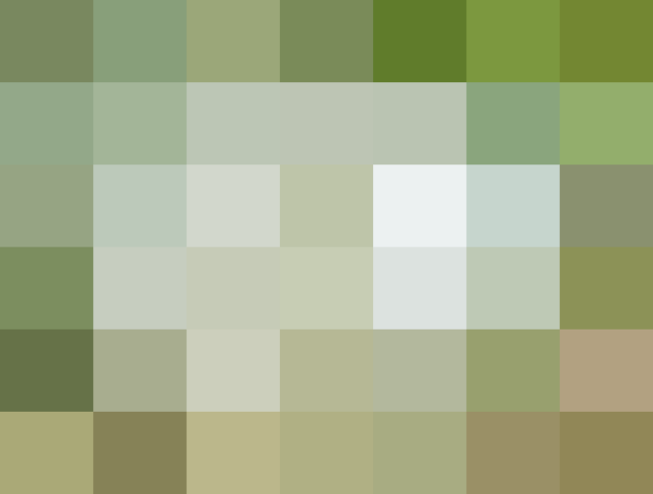 (placeholder)