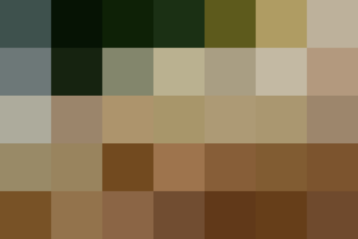 (placeholder)