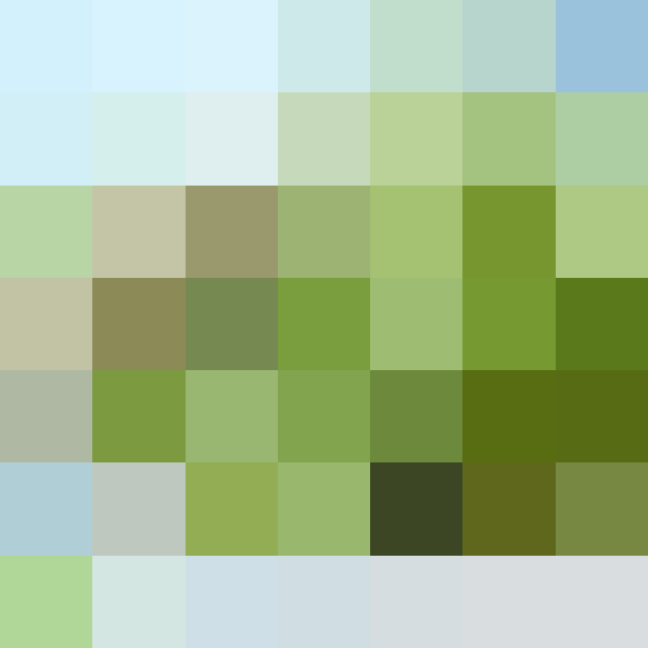 (placeholder)