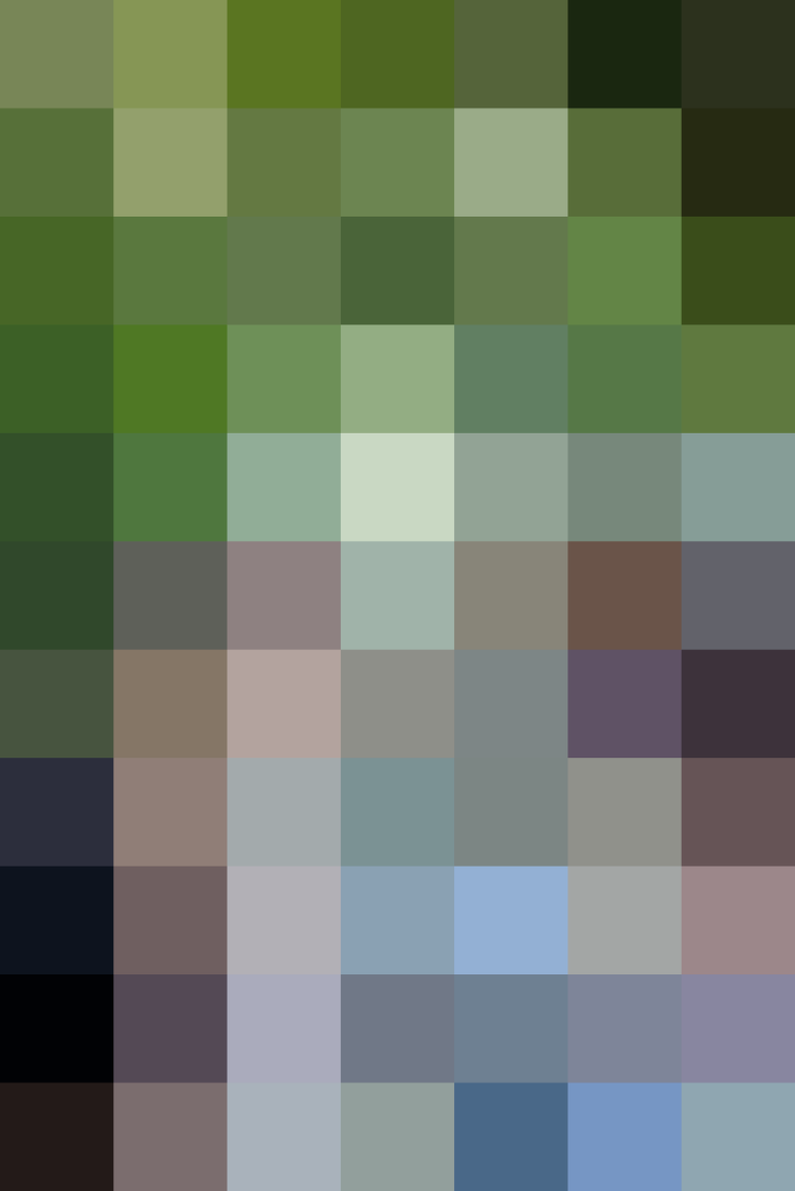 (placeholder)