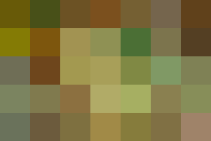 (placeholder)