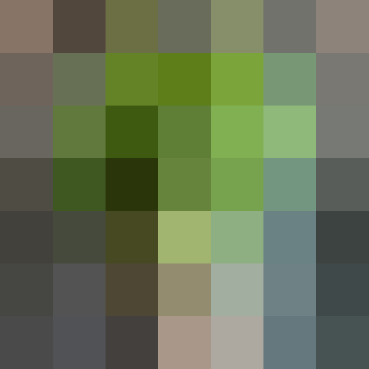 (placeholder)