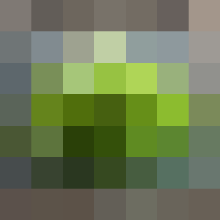 (placeholder)