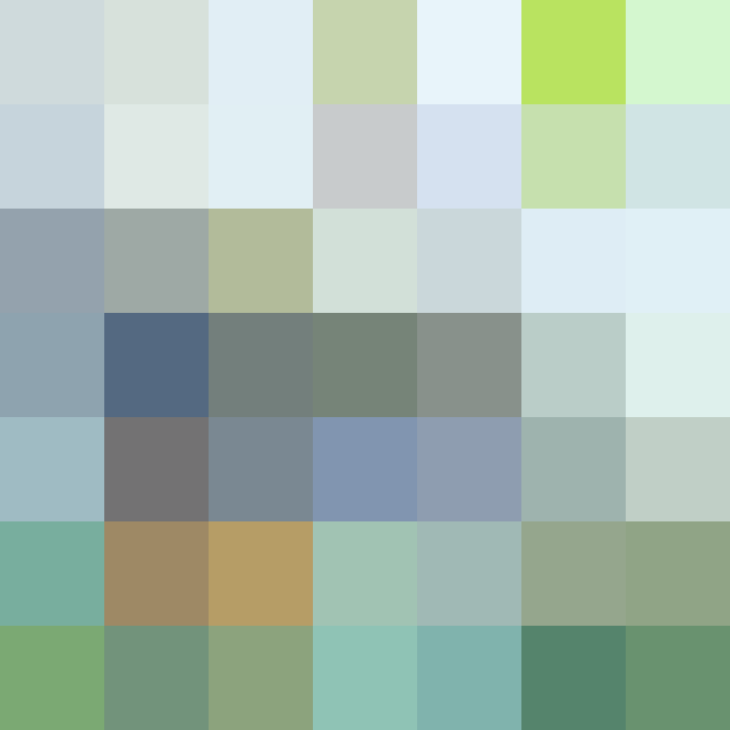 (placeholder)