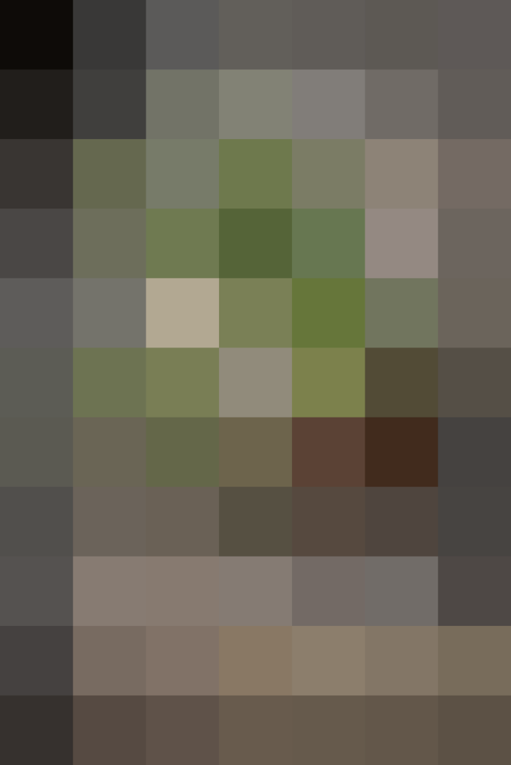 (placeholder)