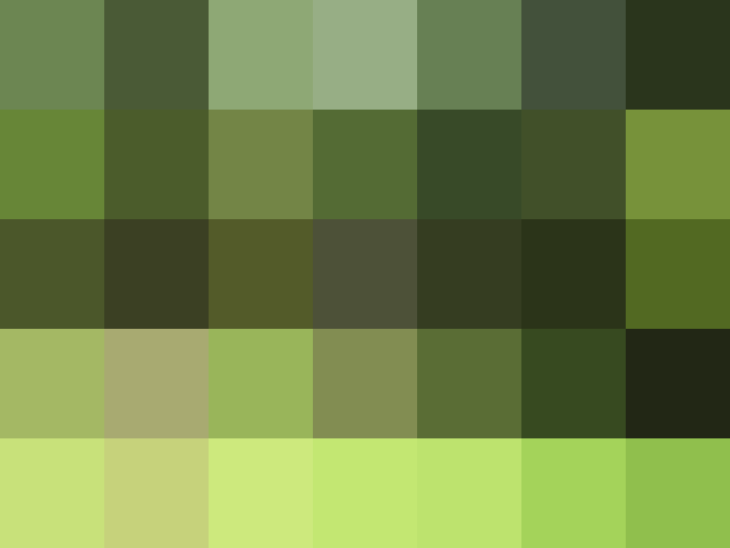 (placeholder)