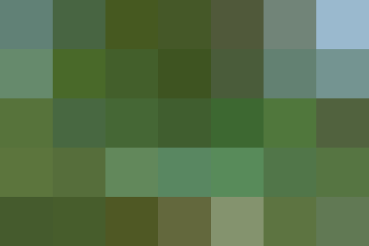 (placeholder)