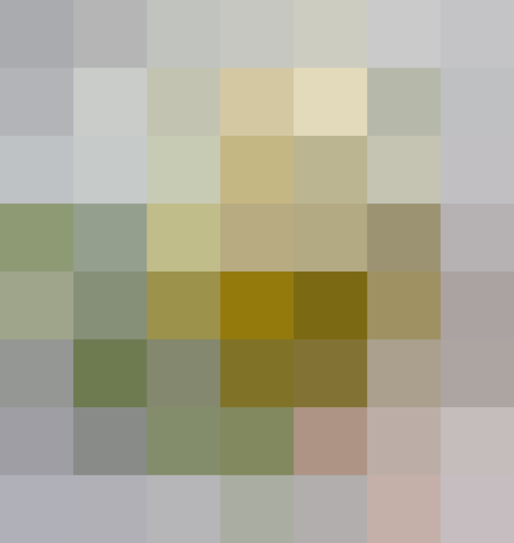 (placeholder)