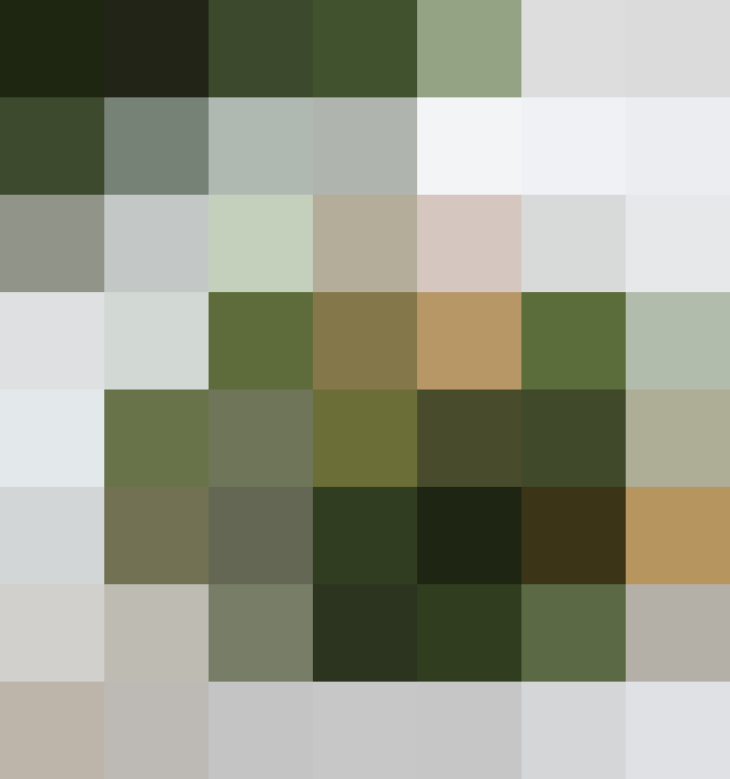 (placeholder)