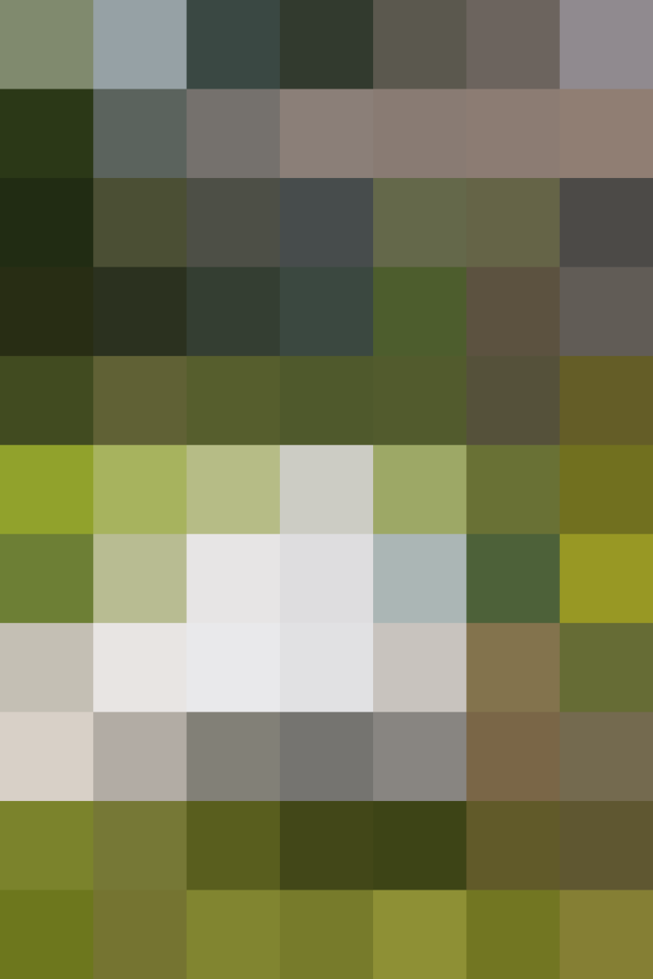 (placeholder)