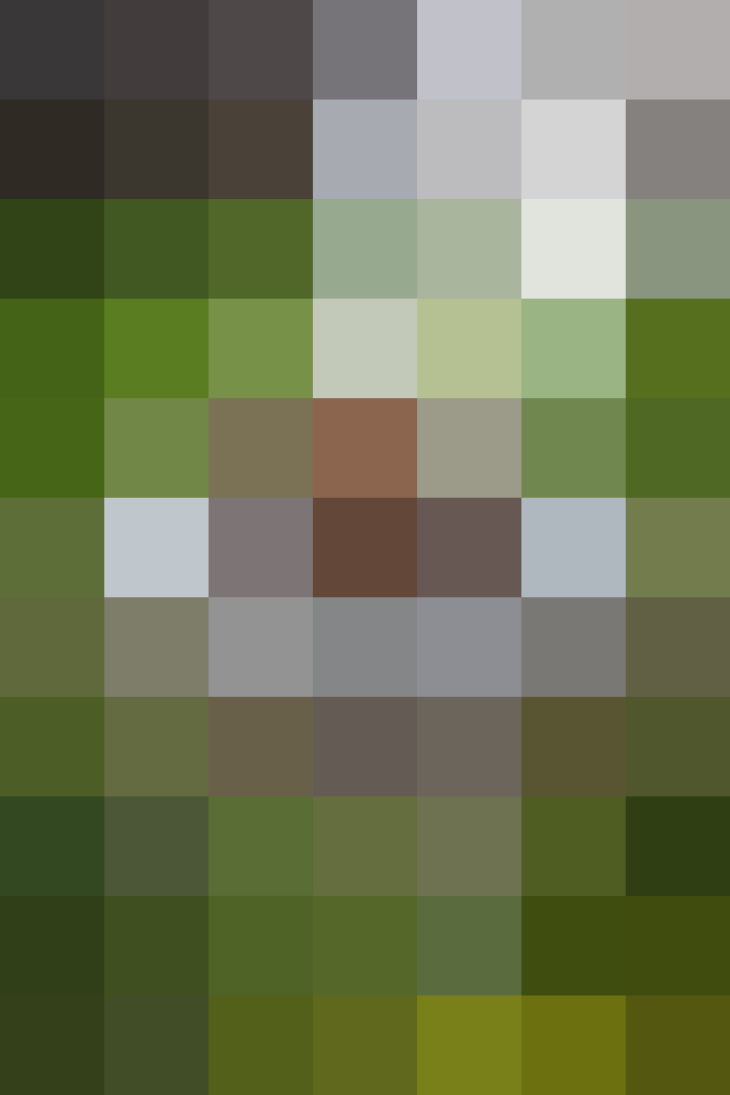 (placeholder)