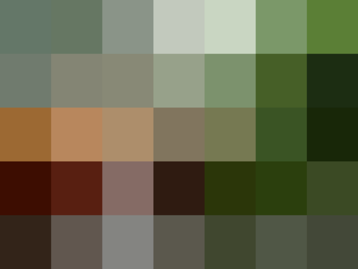 (placeholder)