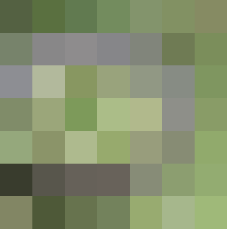(placeholder)