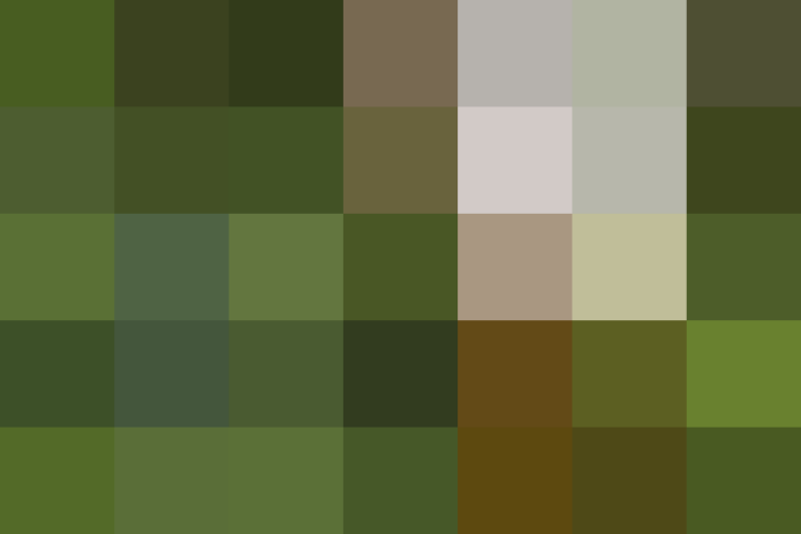 (placeholder)