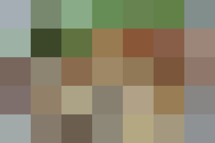 (placeholder)