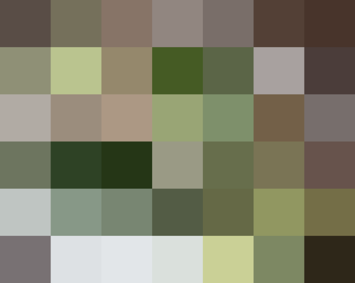 (placeholder)