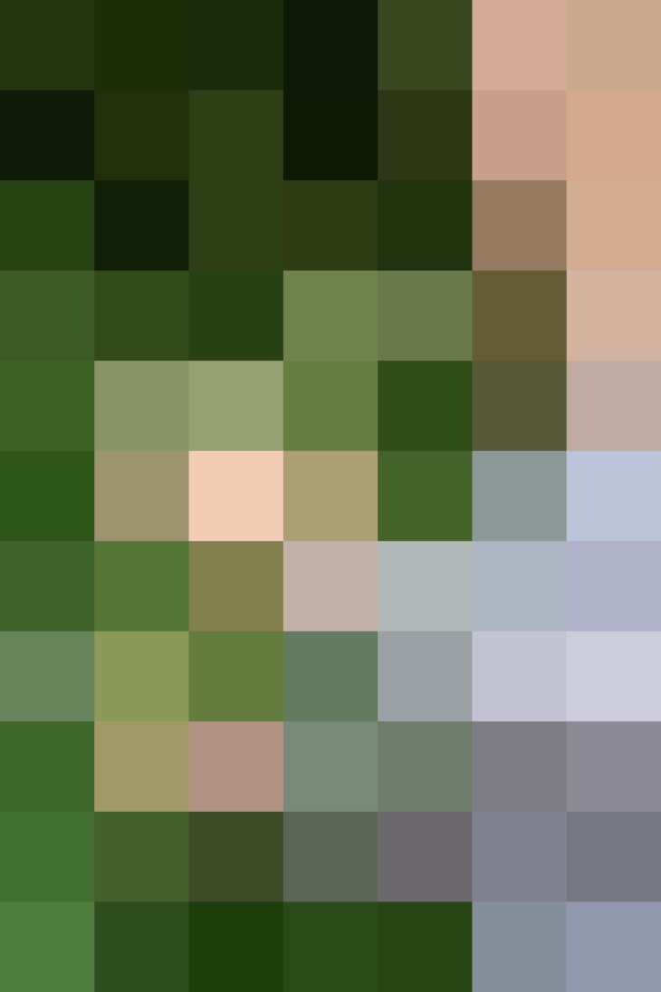 (placeholder)