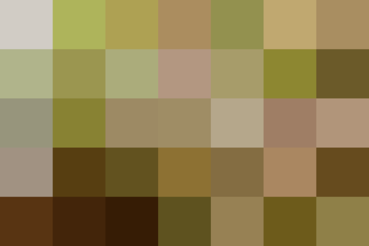 (placeholder)