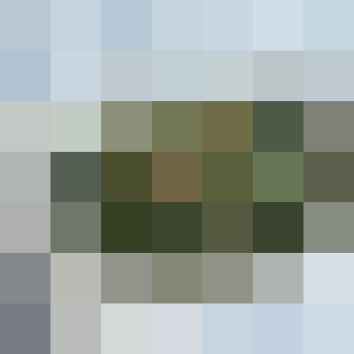 (placeholder)