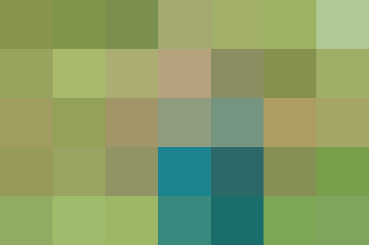 (placeholder)