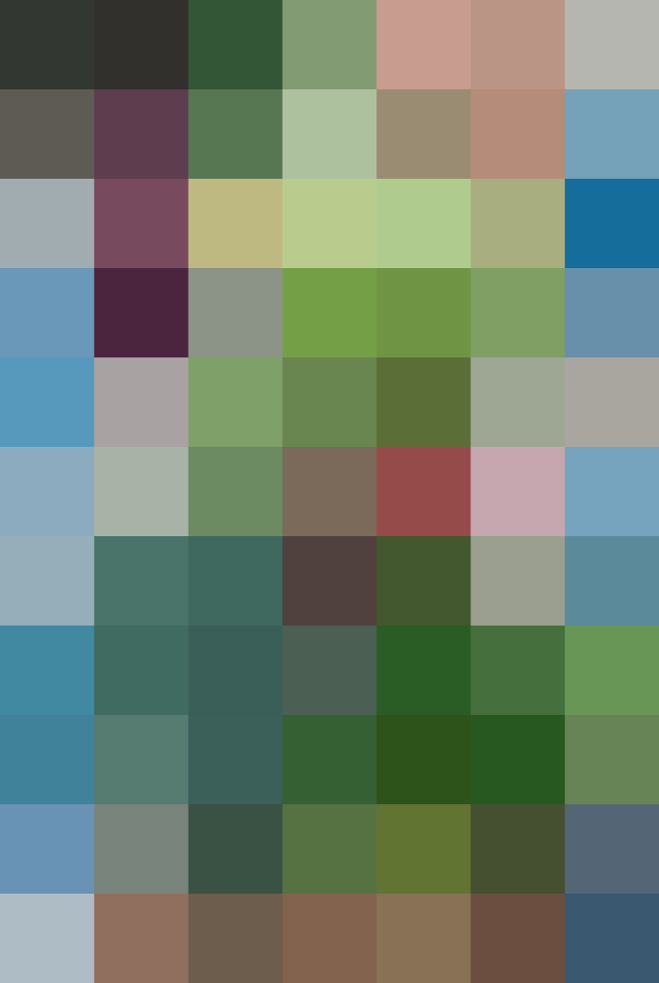 (placeholder)