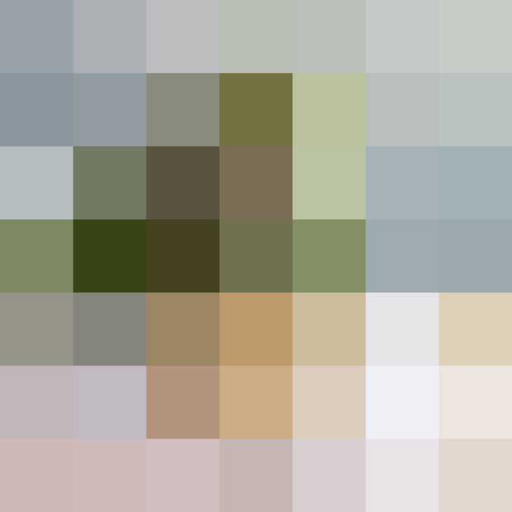 (placeholder)