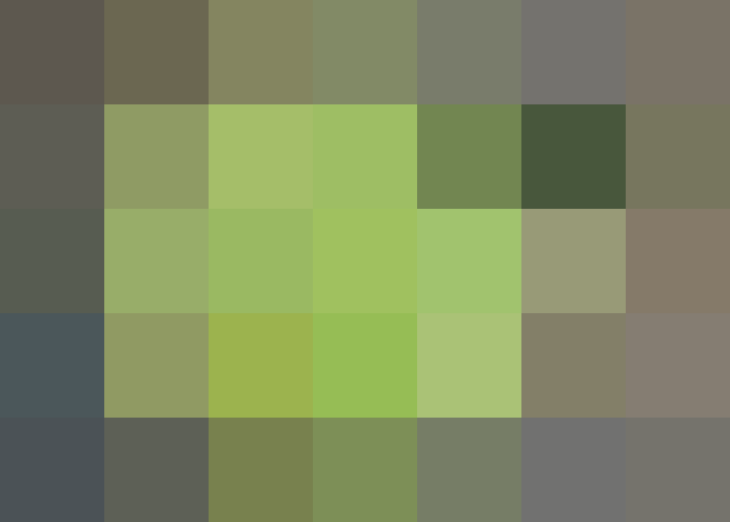 (placeholder)