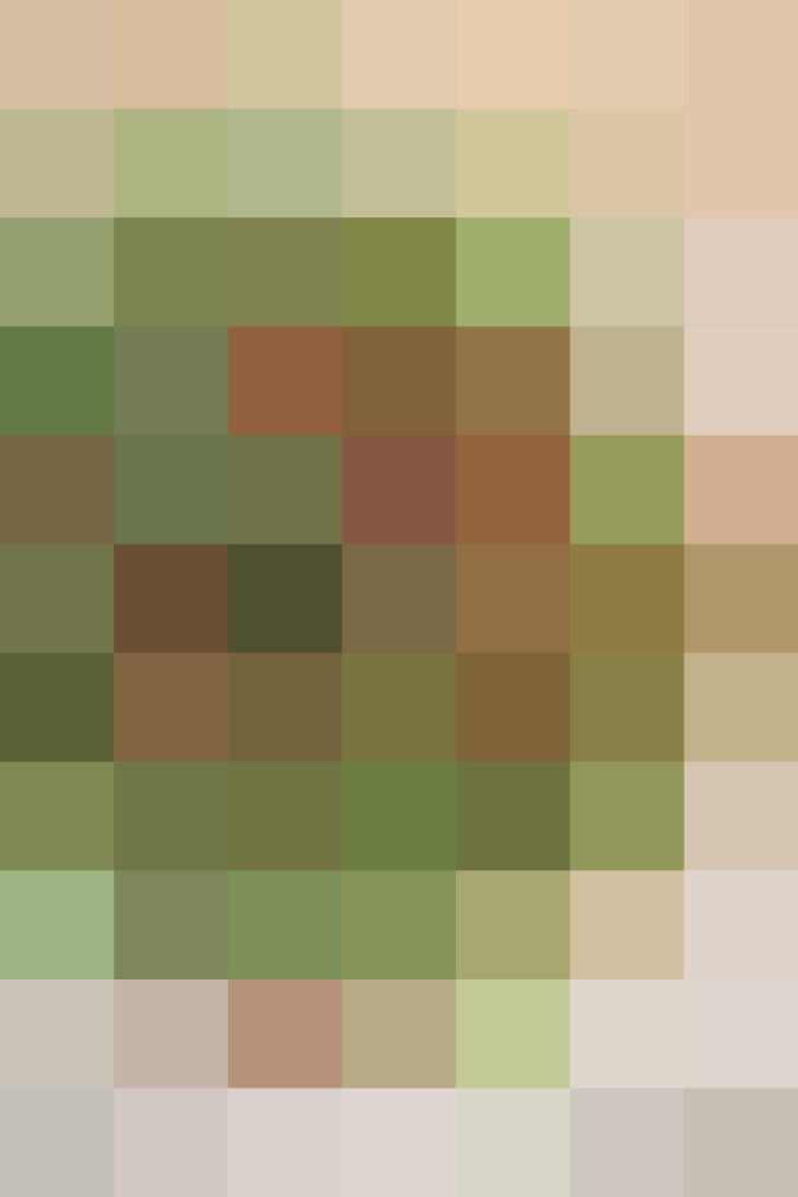 (placeholder)